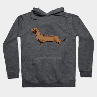 Red Smooth Haired Dachshund Hoodie